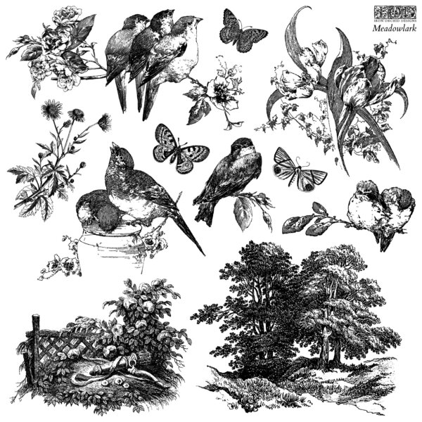 meadowlark | stamp 12″ x 12″ (1 sheet)
