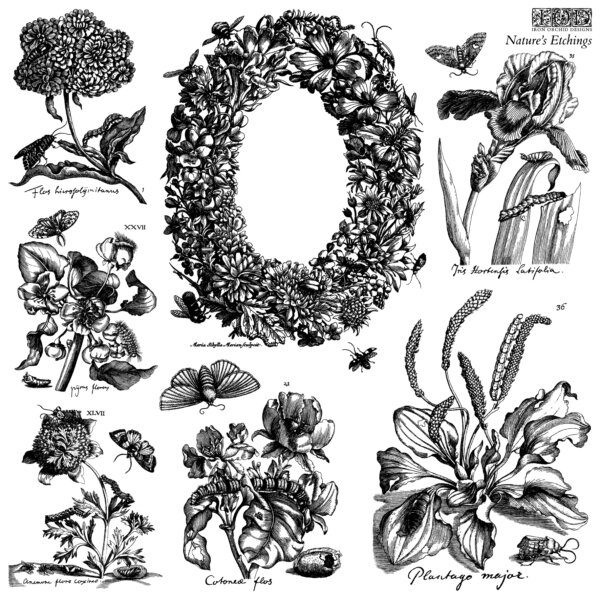 nature’s etchings – NEW! | stamp 12″ x 12″ (2 sheets)